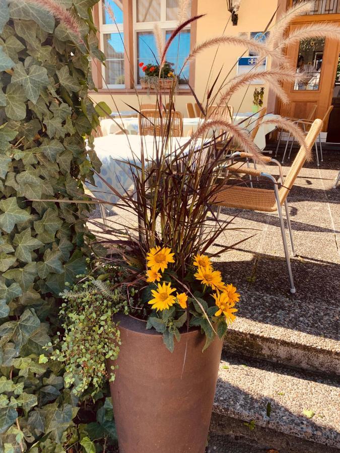 Hotel Roessli Allschwil Luaran gambar